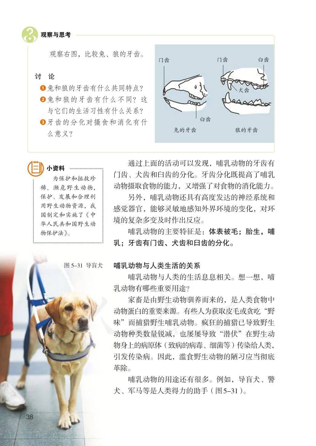 八年级上册生物=八年级上册生物内容