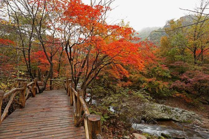 本溪旅游干线上一颗璀璨的赏枫明珠——老边沟风景区