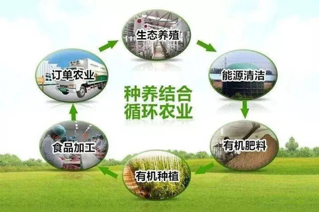 【农业模式】几种生态循环农业模式案例,看看谁最强