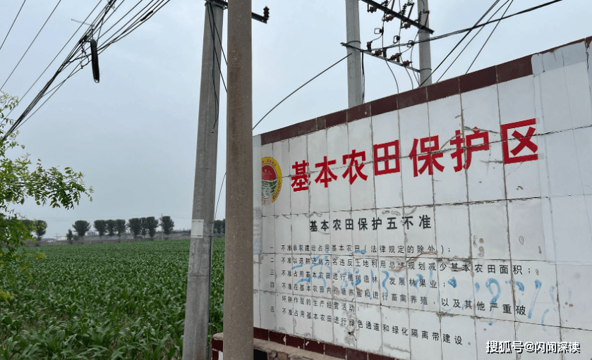 邯郸肥乡荒地背后的反思：招商引资与耕地保护的