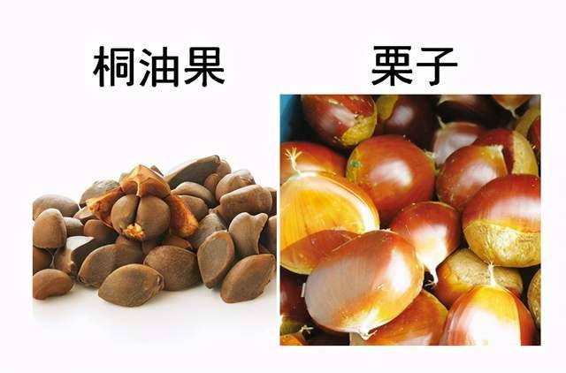 提醒:这些"蔬菜"毒性极强,误食可致命_食用_症状_夫妻
