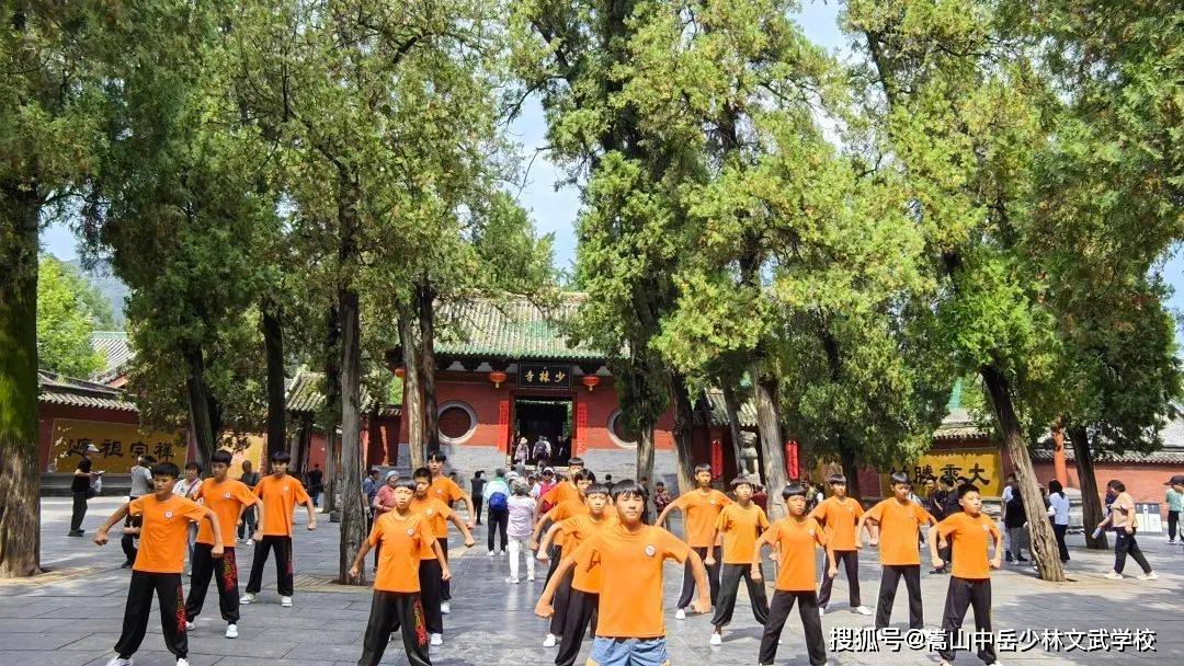 夏令营招募中中岳少林文武学校办校30多年以来,为党和国家培养了数以
