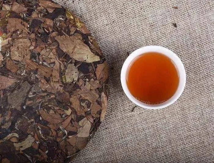 老白茶的"陈香"到底是什么香?