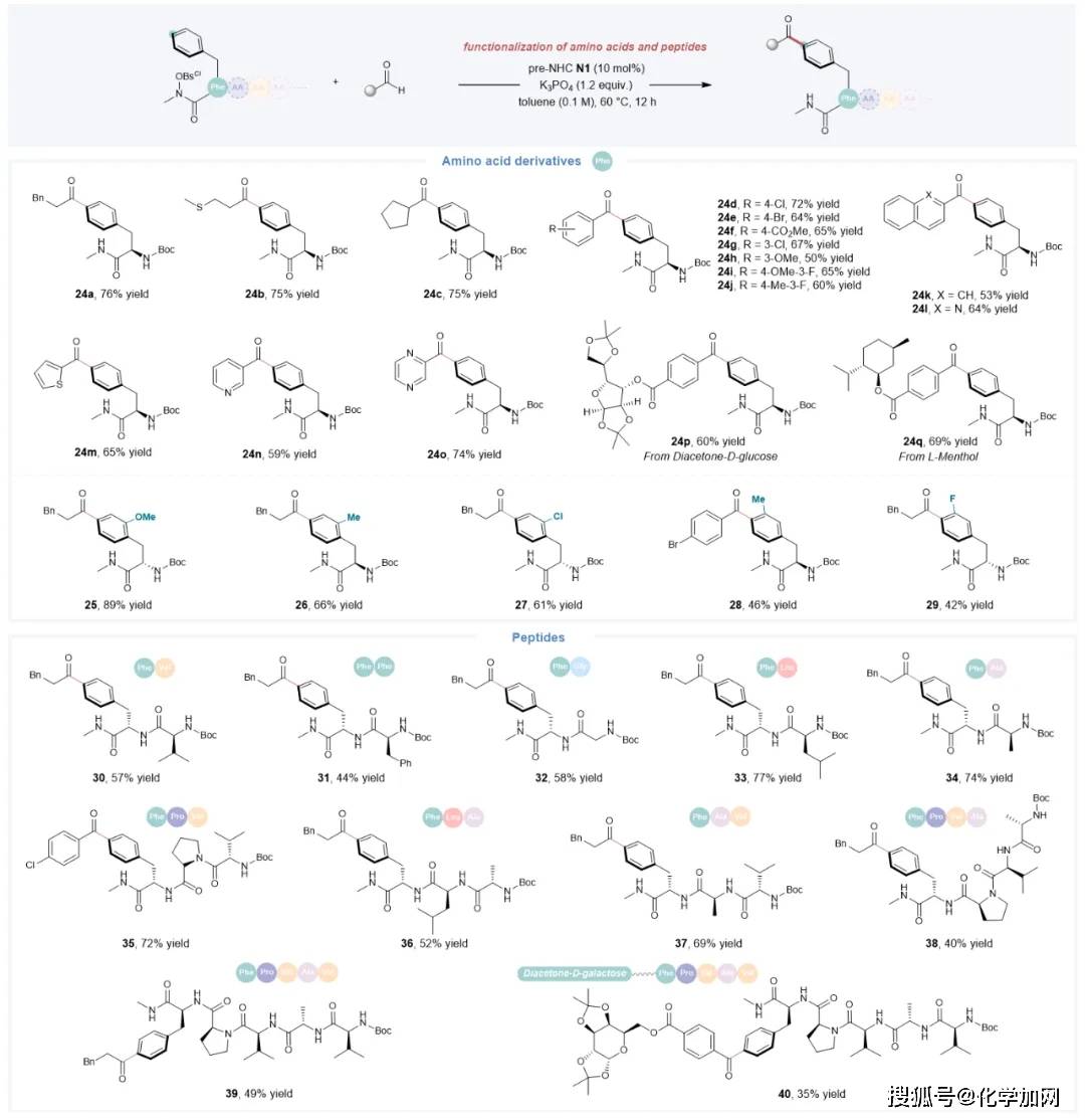 成都大学李俊龙课题组在氮杂环卡宾催化的自由基反应研究方面取得新