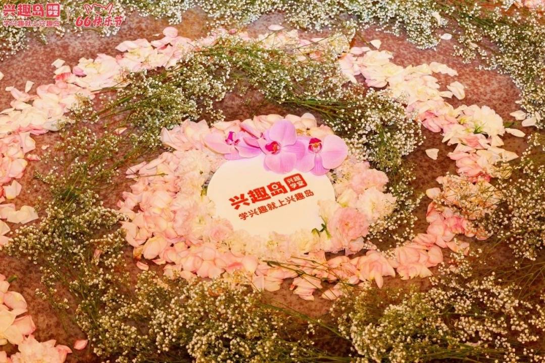 兴趣岛66快乐节收官,多维诠释"快乐教育"特色_活动_摄影_品牌