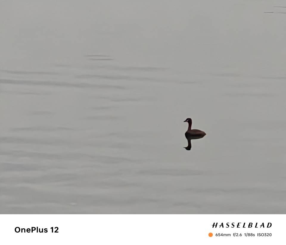 从小米13Ultra升级到一加12真实体验分享!