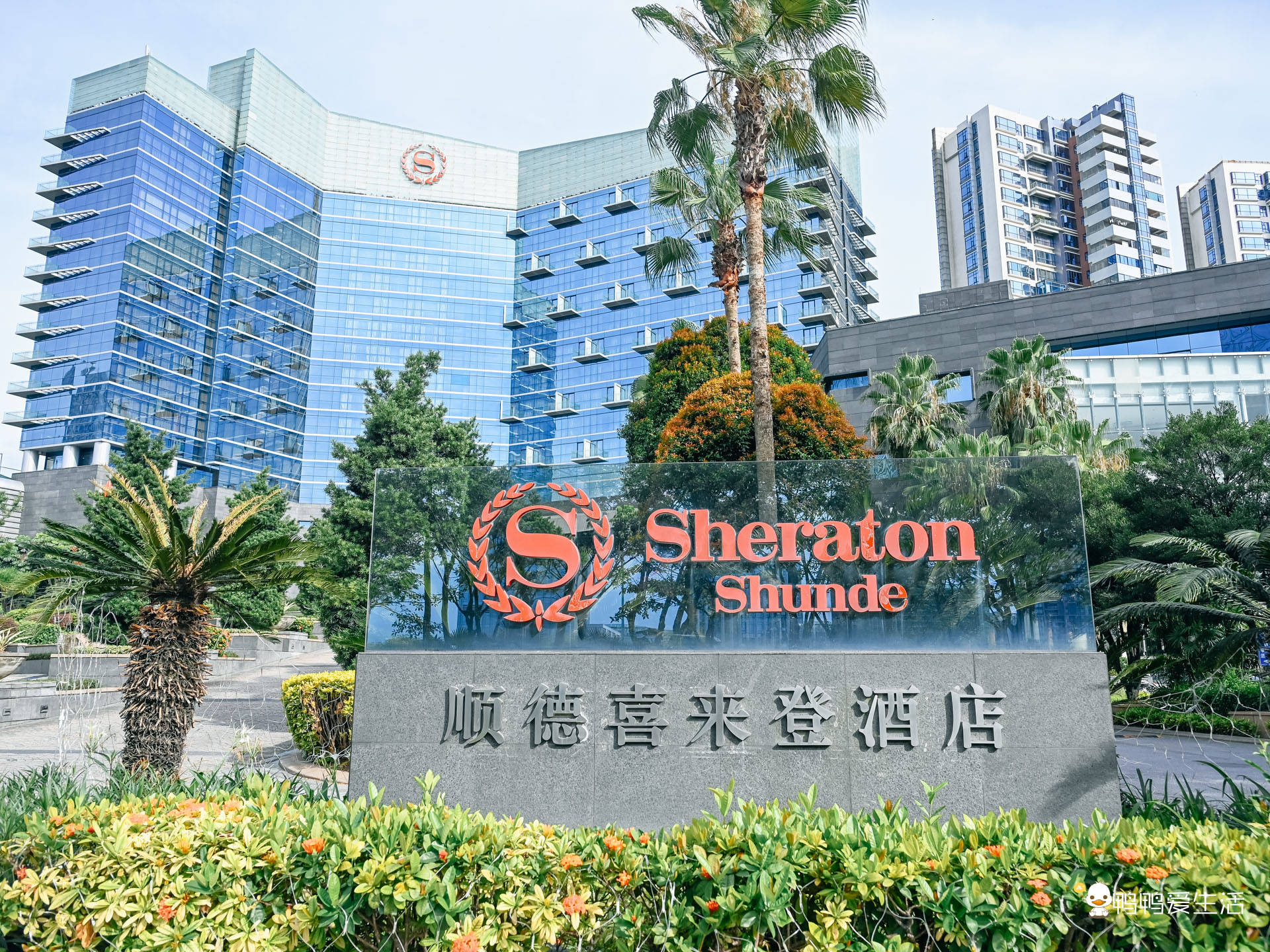 寻味顺德之旅,住进老牌喜来登酒店,江河绿洲环绕!