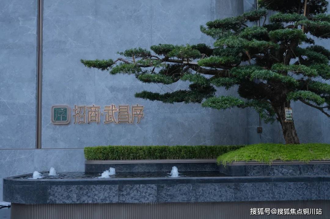 cn/images01/20240721/083c6dcb1cfd4a569745ebf39b22f35d.