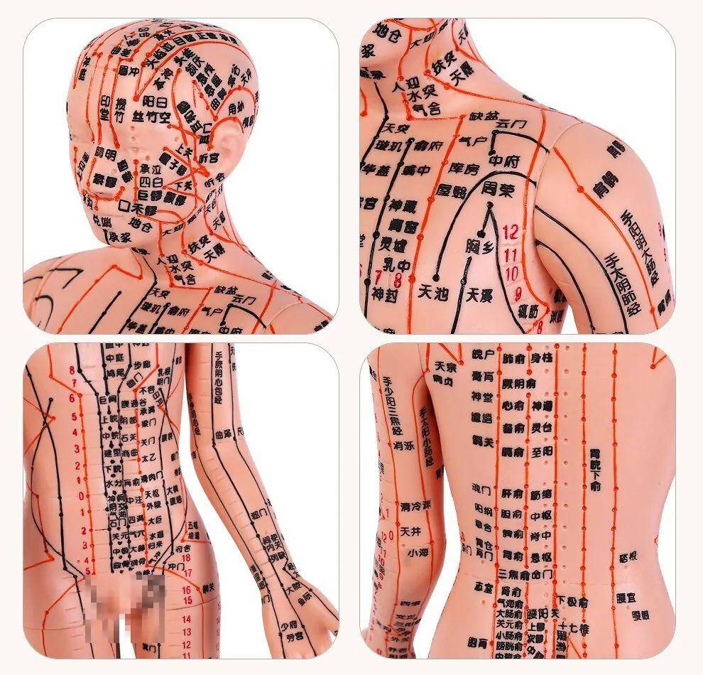 千万别小瞧这15个穴位,平时看着不起眼!但对帕金森有大用