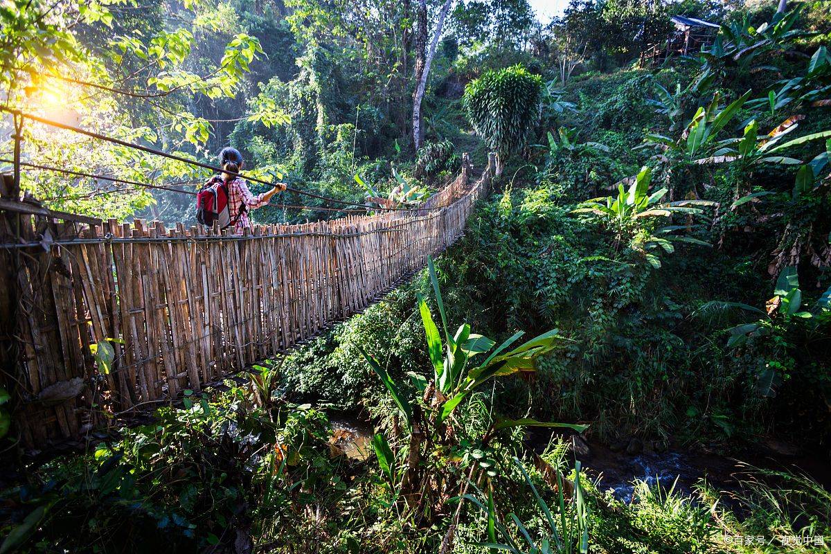 西双版纳原始森林公园旅游攻略,探秘绿意盎然的野性之美!