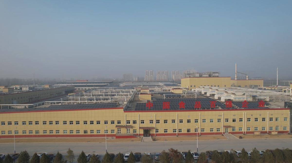 【新质生产力在周口】西华:聚链成势增活力 集群赋能强发展