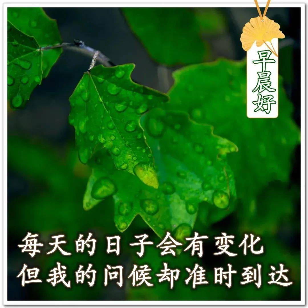 8张最新清新漂亮夏日早上好祝福图片带字温馨 好看的夏天纯风景早安