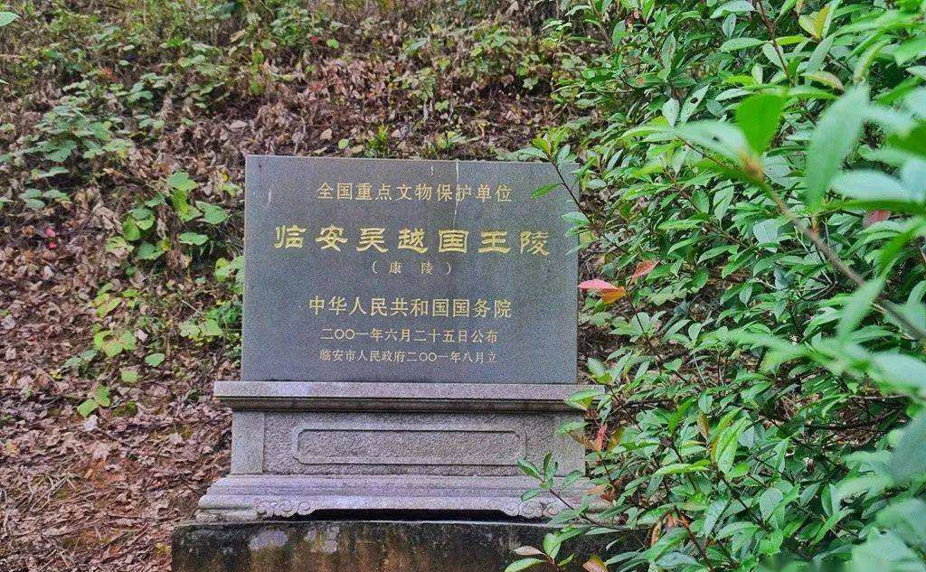 顺德飞鹅山古墓被盗图片