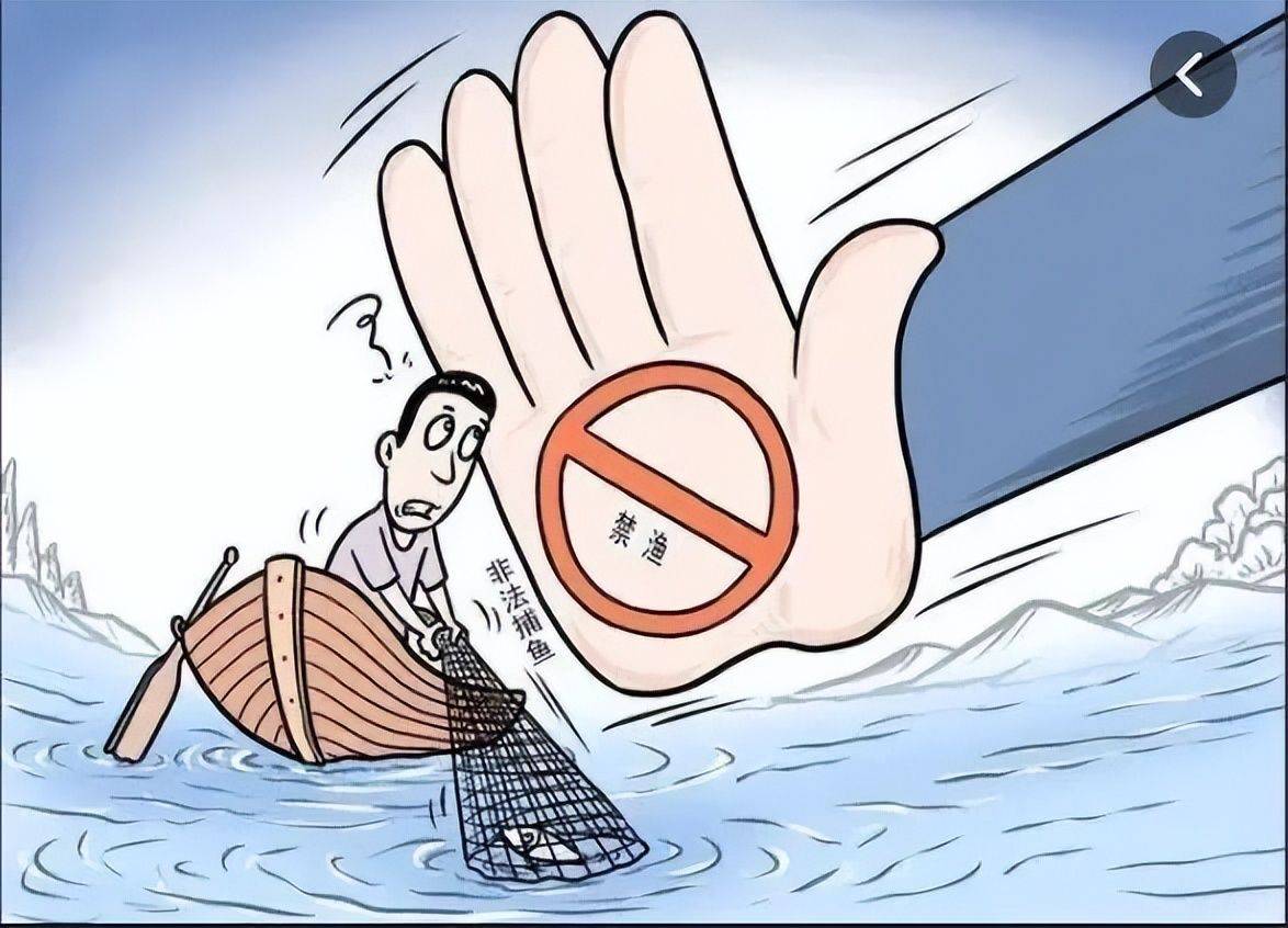 作为普通市民,我们不仅要守法,更要成为生态保护的宣传员,带动身边的