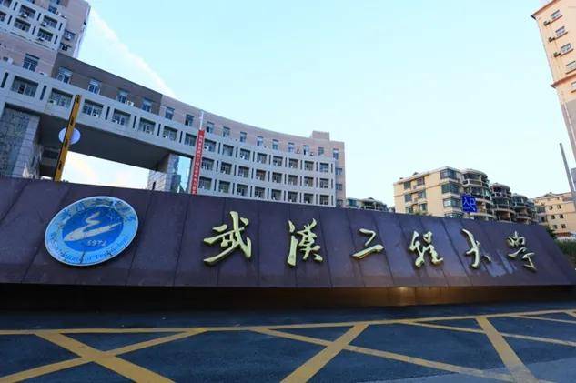 武汉工程大学中外合作办学2 2招生简章(中留服备案)