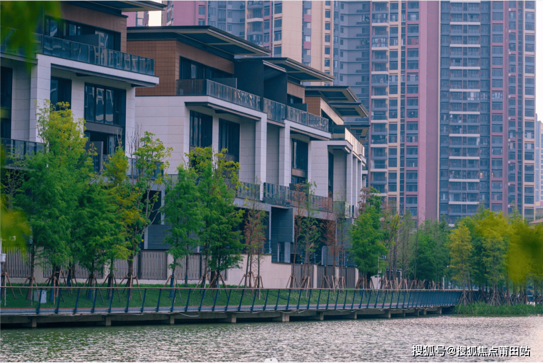 惠州星河丹堤(售楼处)2024首页网站(星河丹堤)配套_价格_户型_详情