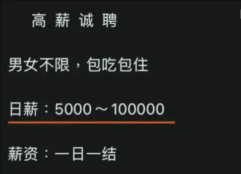 半小时两千,日薪10万！迷信高薪的他们成被操控的背罪工具…