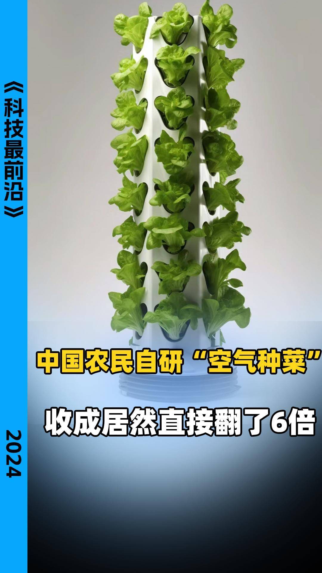 中国农民自研"空气种菜" 收成居然直接翻了6倍