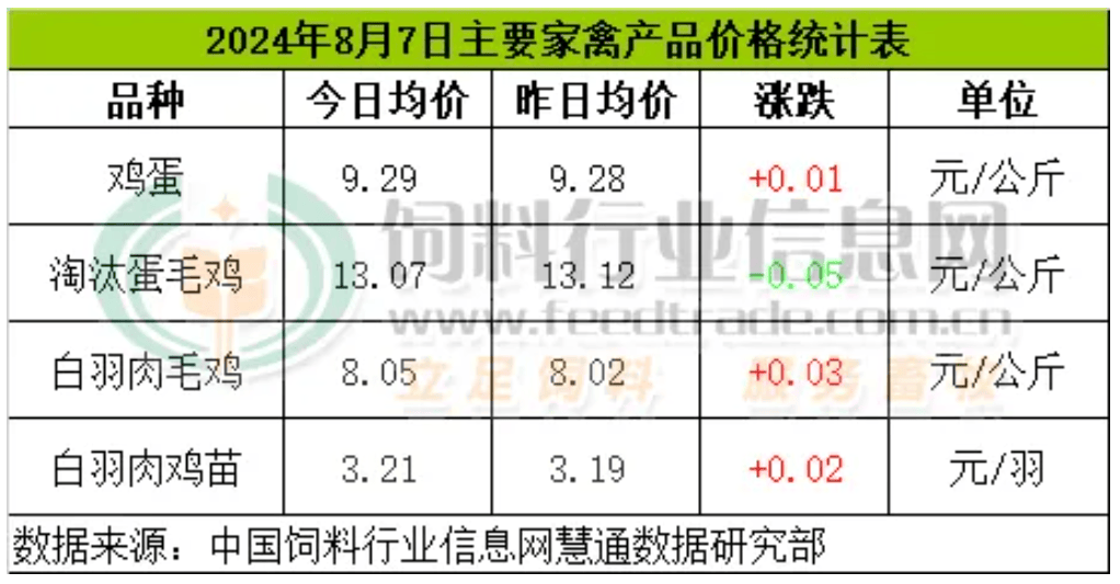 鸡苗市场:今日白羽肉鸡苗价格稳中有涨