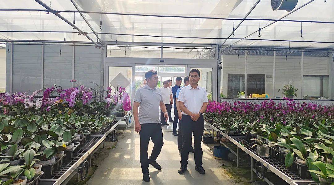 人侯颖超,永靖县县委信息中心主任孔维云,永靖县农业农村局局长白树彦