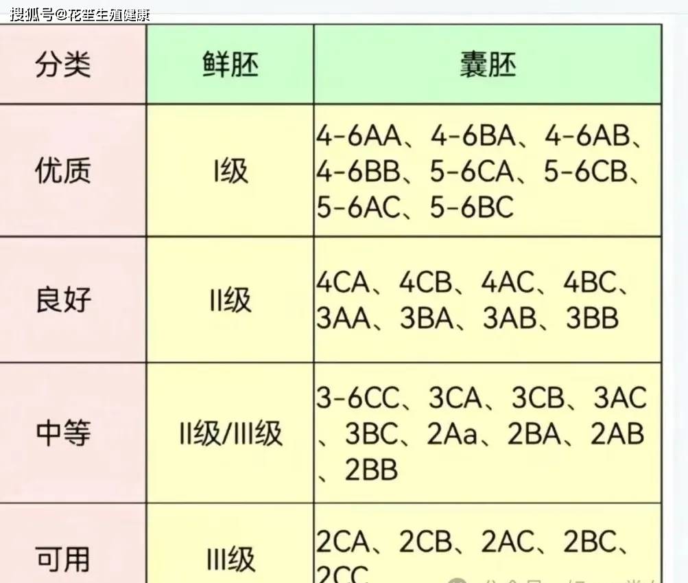 囊胚质量等级排行图片图片