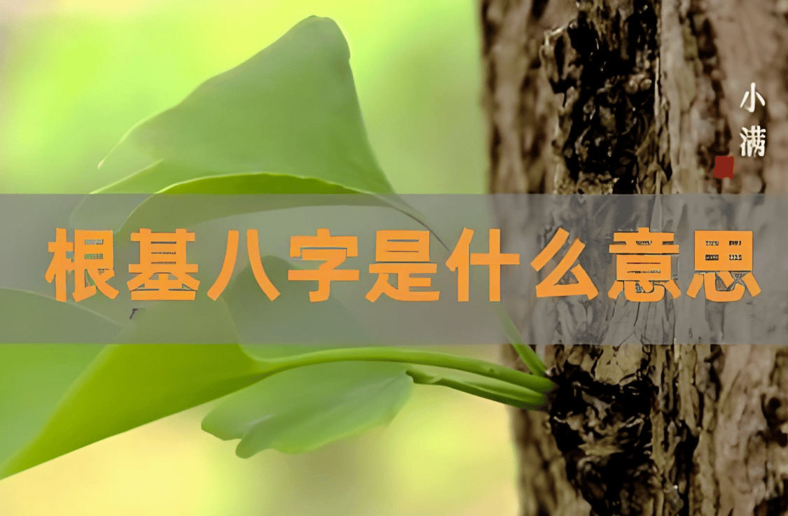 算命说的根是什么意思，算命先生说八字没根是什么意思-命里没根