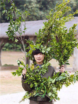 李宇春最想消除的照片图片