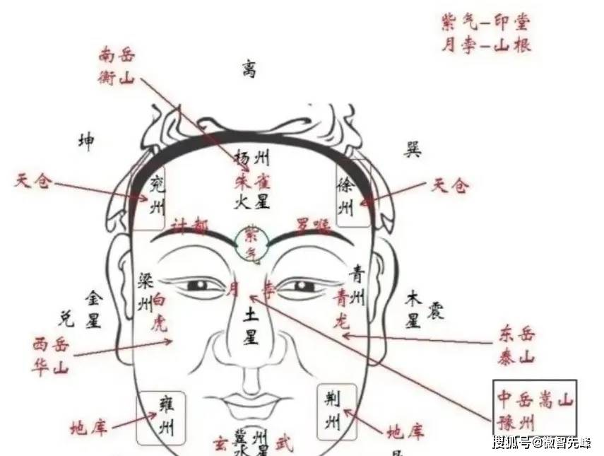 额头两角突出面相图片