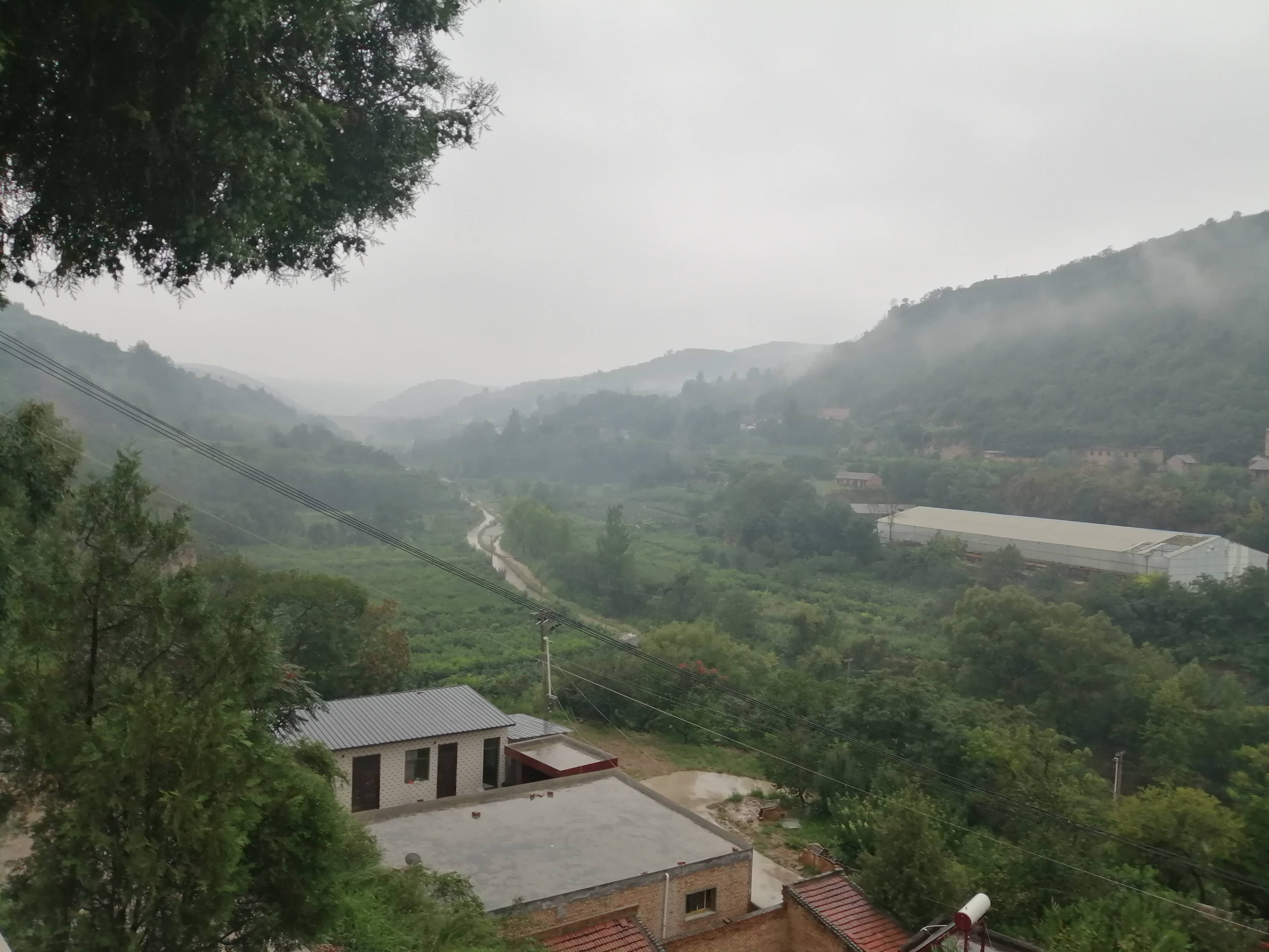 清风细雨头像的图片图片