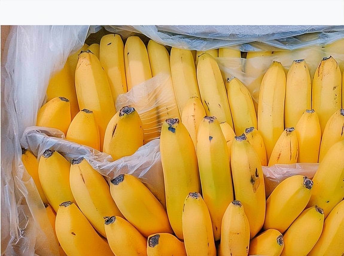 降血压水果第一名:奇迹之果,降压界的超级英雄