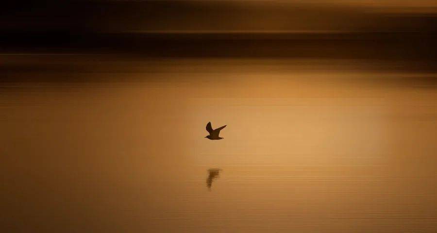 家电企业悄悄推高实体门店的经营门槛-家电圈官网