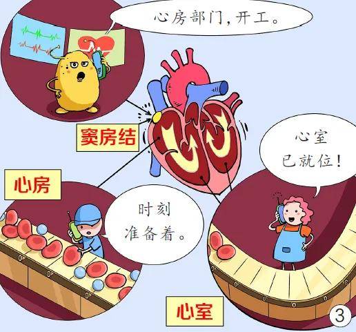 【漫绘科普】让心乱跳的房颤,为什么还会伤脑?