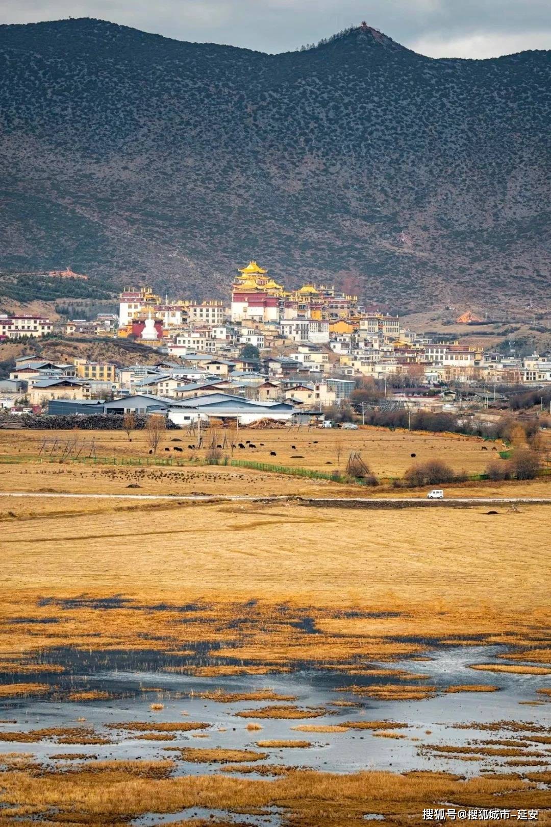 假期到香格里拉四天三晚实用攻略,香格里拉旅游4天要多少钱?