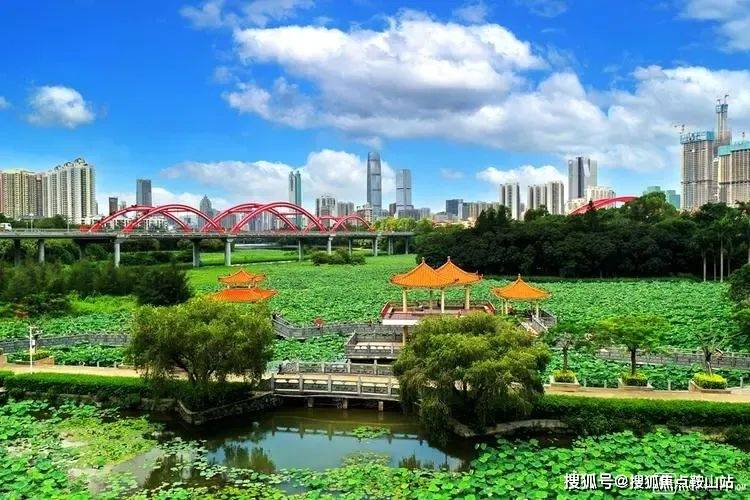 生态配套医疗配套;深圳市罗湖区人民医院(三甲),深圳市中医院(三甲)