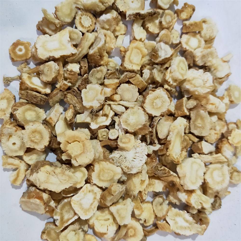 中药认识之沙参