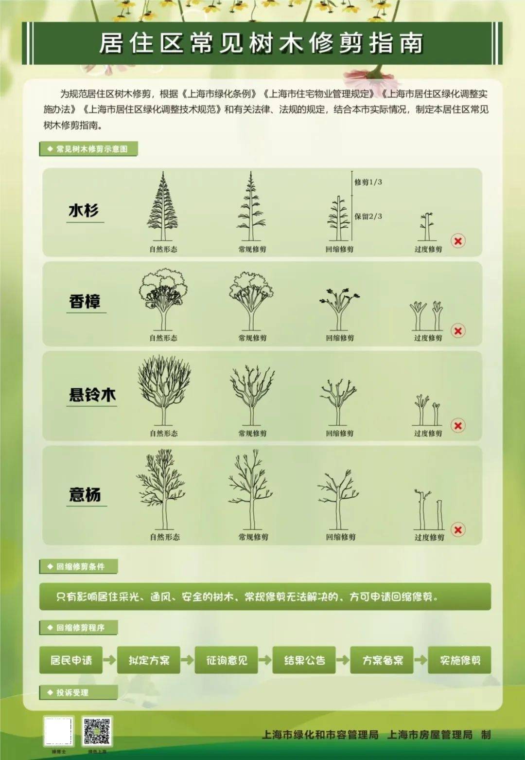 小区里的树木到底该怎么修剪?都来说说看!