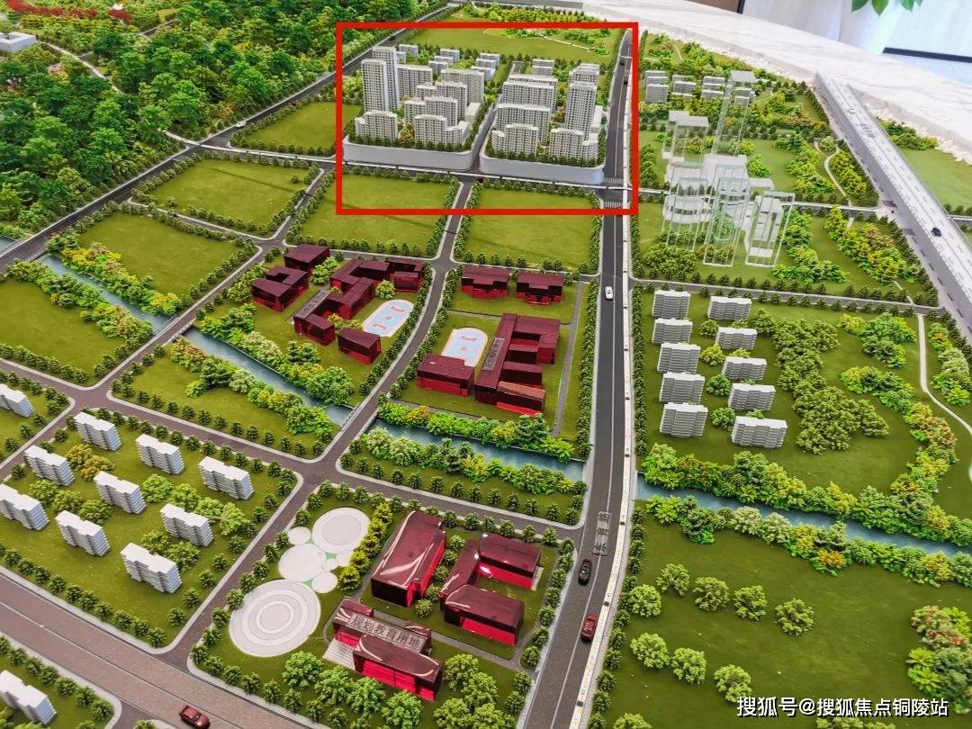 中企云萃森林值不值得拥有???_手机搜狐网