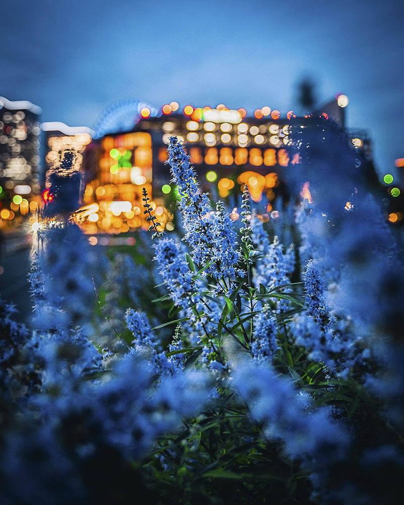 嗨森课堂:探索青橙色调,摄影后期中的独特风格