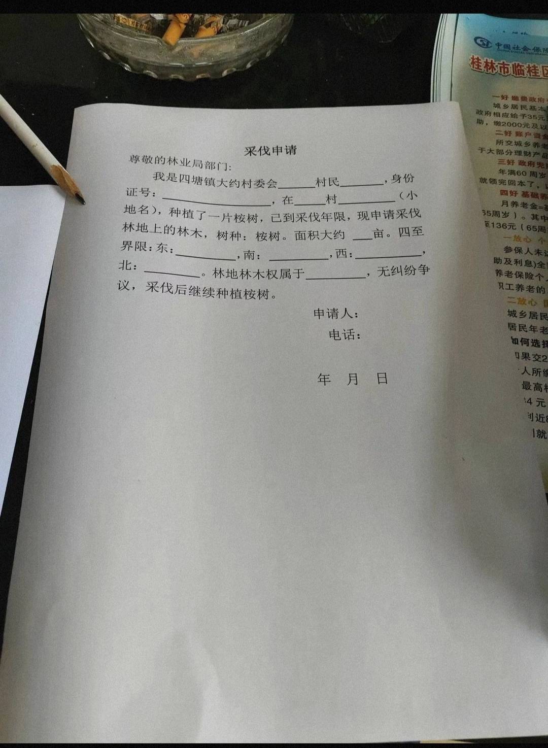 采伐桉树,需要办理《砍伐证》吗?申请的时候需要什么材料?