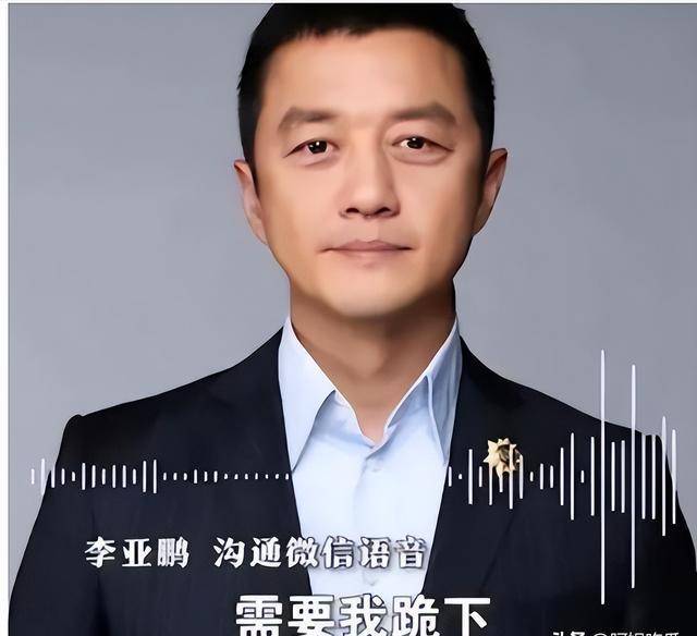 倒霉体质"李亚鹏,他最大的不幸"就是当年不听王菲一句劝