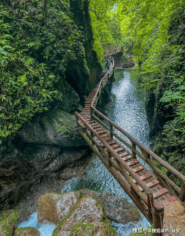 江苏去四川青城山杜甫草旅游攻略，青城山杜甫草4日游多少钱？-第4张图片-旅游大全网