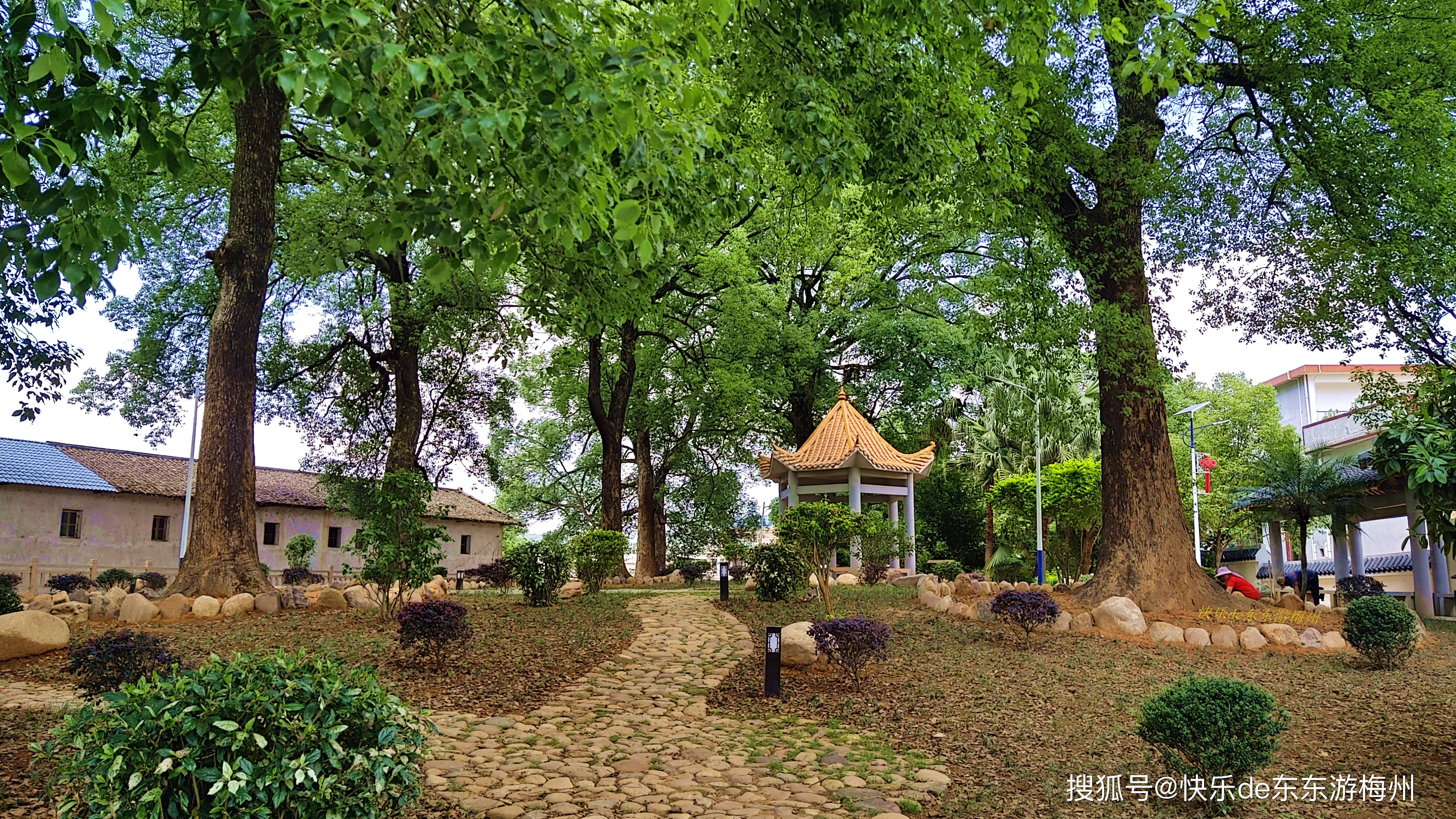 包含庆云县蕉岭村百度搜索引擎的词条