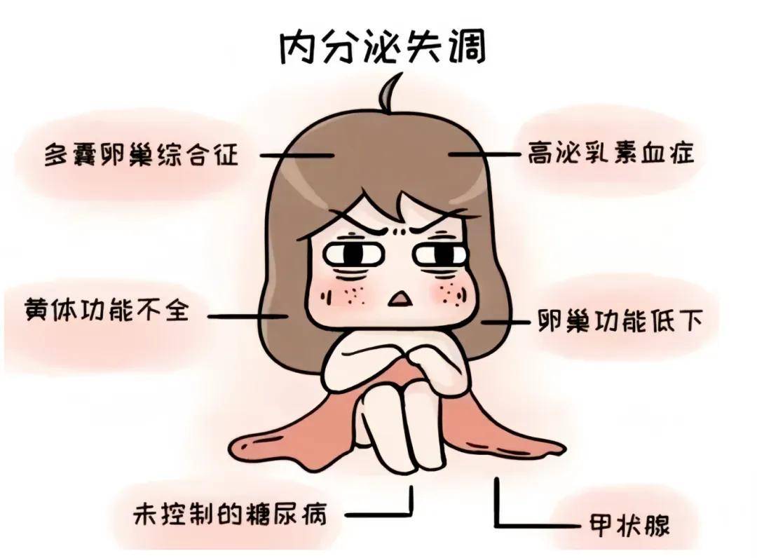 女性_阴部_内分泌