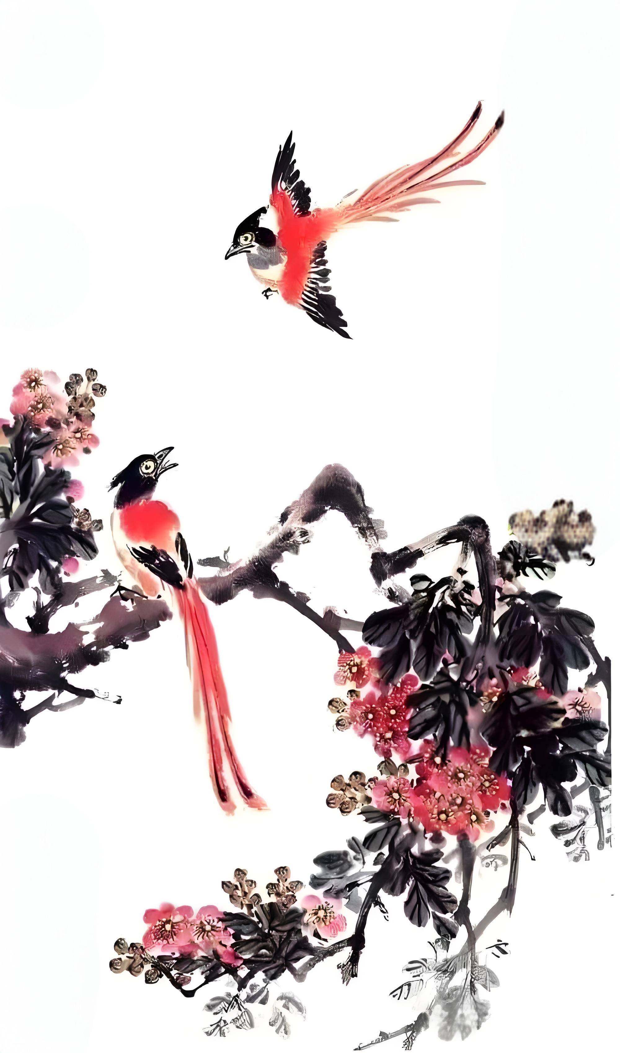 寿带鸟又捎来一串久违的惊喜."林中仙子"回家啦,传来一个动人的消息