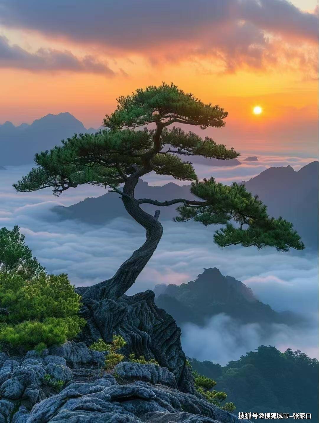 游览迎客松,百步云梯,莲花峰等前山景点,感受黄山的雄伟与壮丽.