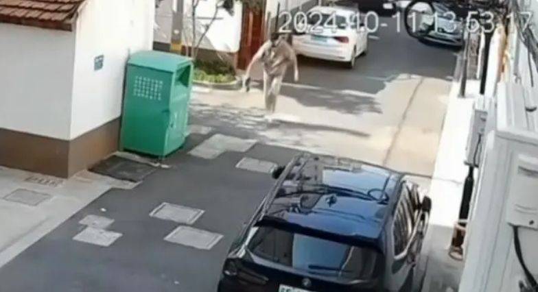 男子佯装撸猫将其摔打致死，现场画面曝光-砸死猫有报应吗