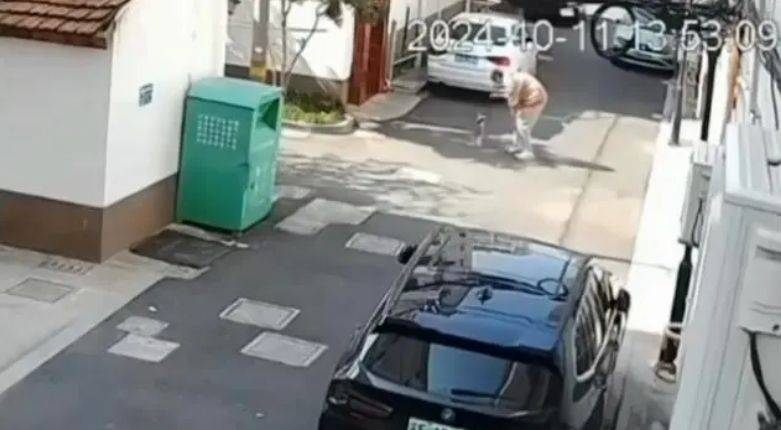 男子佯装撸猫将其摔打致死，现场画面曝光-砸死猫有报应吗