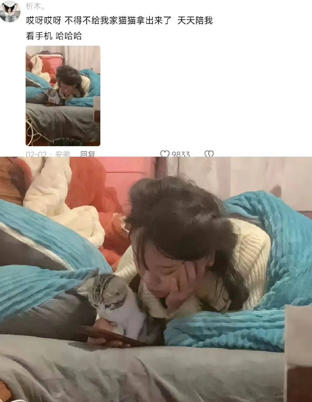 开心一刻笑话:这一刻只有养猫的人才会懂吧!_年都_月光_王八
