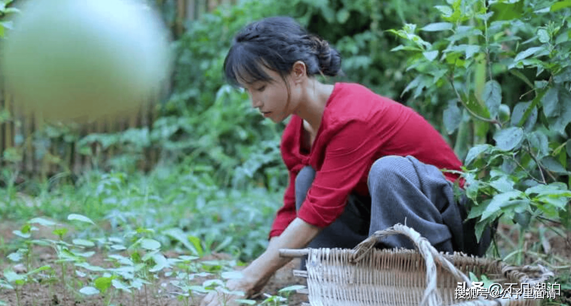 李子柒:做过服务员,当过dj,成网红后被资本玩弄