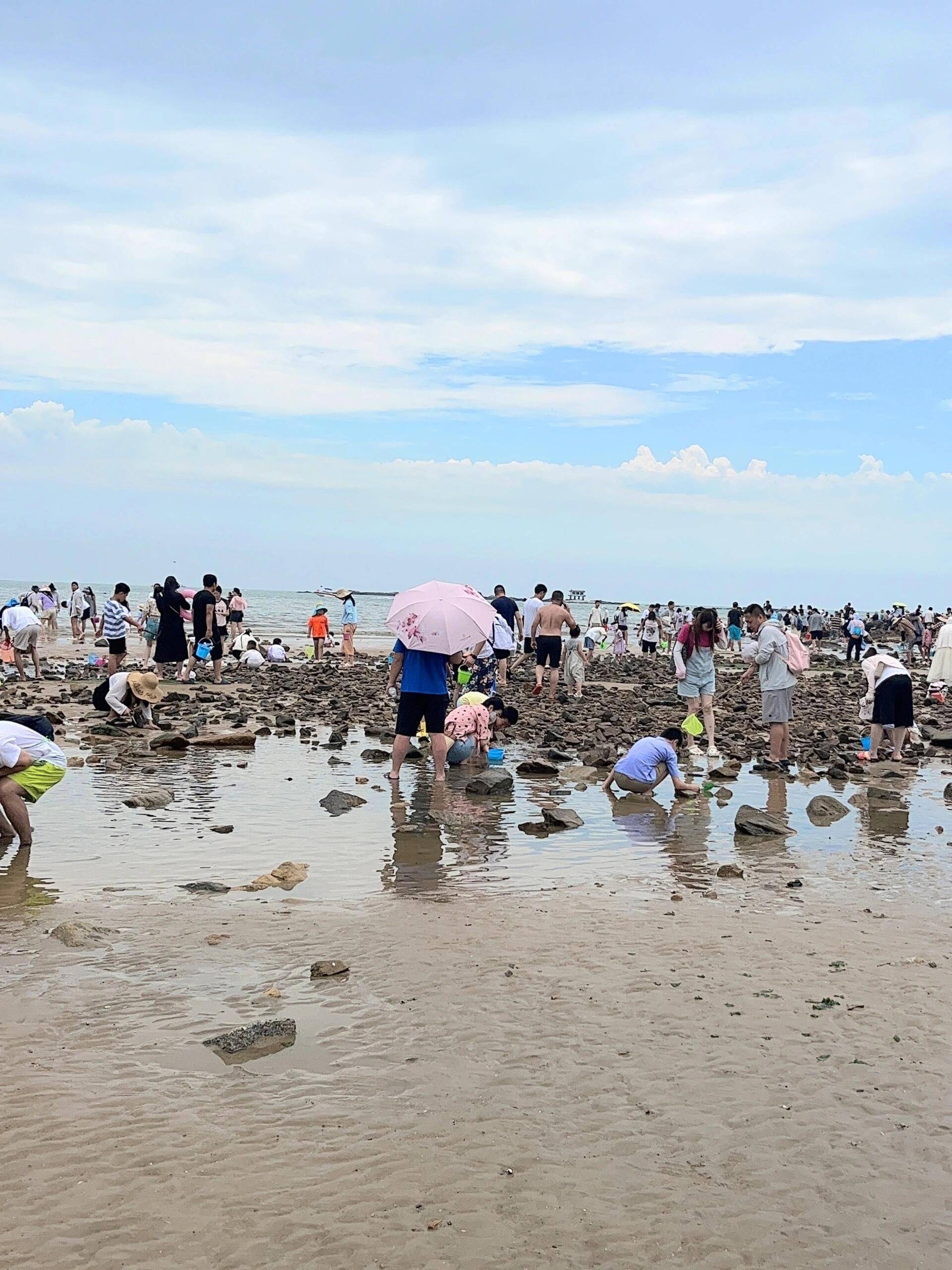 日照岚山多岛海赶海图片